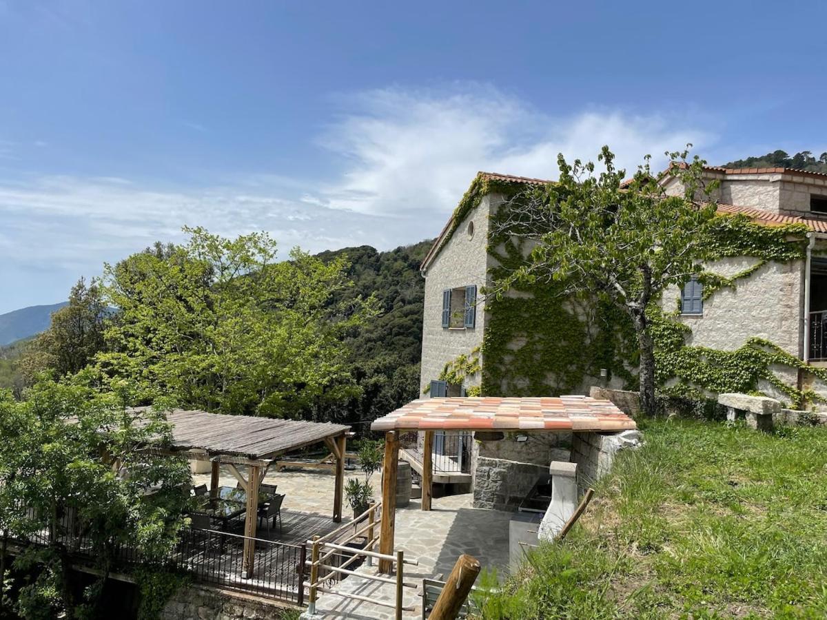 Sud-Corse Bavella Location Montagne Et Mer Sorbollano Ngoại thất bức ảnh